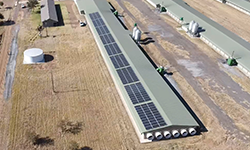 Agricultural Solar Installation South Africa